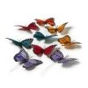 Wholesale 🔔 Large Nature Center Butterflies Value Pack by Ashland® ✔️ -Ashlandty Shop 10017012 21