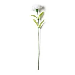 Cheap ✨ White Carnation Spray by Ashland® 🔔 -Ashlandty Shop 10017878 21