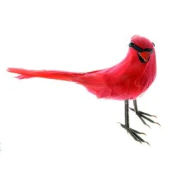 Top 10 ❤️ 24 Pack: Cardinal Bird by Ashland® 😀