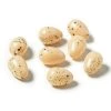 Wholesale 🌟 Nature Center Speckled Tan Eggs by Ashland® 🛒 -Ashlandty Shop 10029911 21