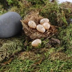 Wholesale 🌟 Nature Center Speckled Tan Eggs by Ashland® 🛒 -Ashlandty Shop 10029911 4