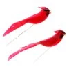 New ⭐ 24 Packs: 2 ct. (48 total) Cardinal Birds by Ashland® ⭐ -Ashlandty Shop 10029954