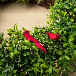 Promo ✔️ Cardinal Birds by Ashland® ❤️ -Ashlandty Shop 10029954 22