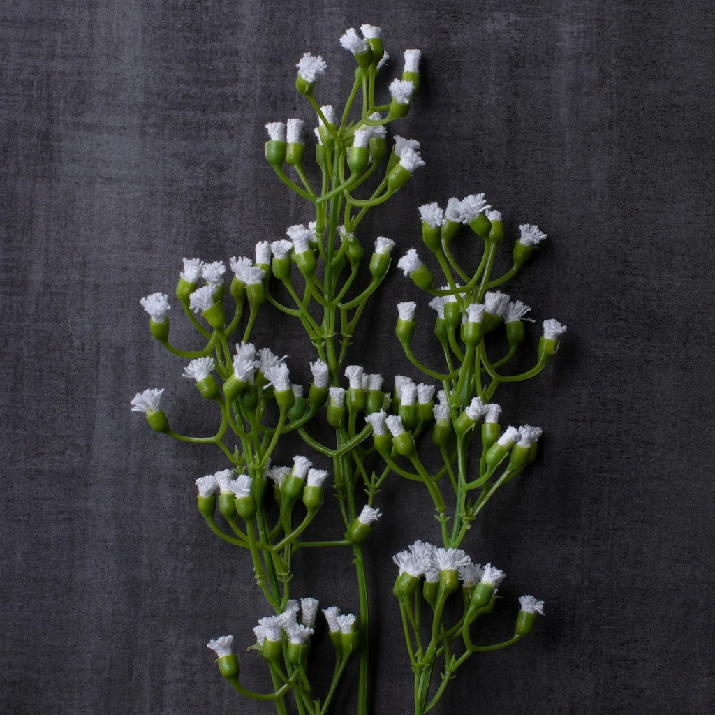 Brand new 🌟 Ivory Mini Baby's Breath Spray by Ashland® ❤️ 6 Brand new 🌟 Ivory Mini Baby's Breath Spray by Ashland® ❤️ - Image 4