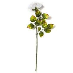 Cheap ✔️ Holland Rose Spray by Ashland® 👏 -Ashlandty Shop 10056110 21