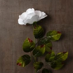 Cheap ✔️ Holland Rose Spray by Ashland® 👏 -Ashlandty Shop 10056110 25