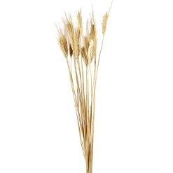 Buy 🔥 Ashland® Natural Wheat Bunch ⌛ -Ashlandty Shop 10065705