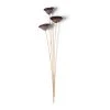 Best Pirce ❤️ Natural Lotus Pods Stem by Ashland® ⌛ -Ashlandty Shop 10065712 21