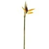Coupon ✨ 12 Pack: Yellow Bird of Paradise Stem by Ashland® ⭐