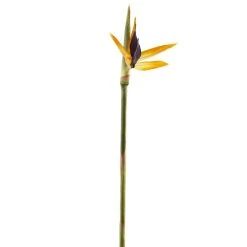 Coupon ✨ 12 Pack: Yellow Bird of Paradise Stem by Ashland® ⭐