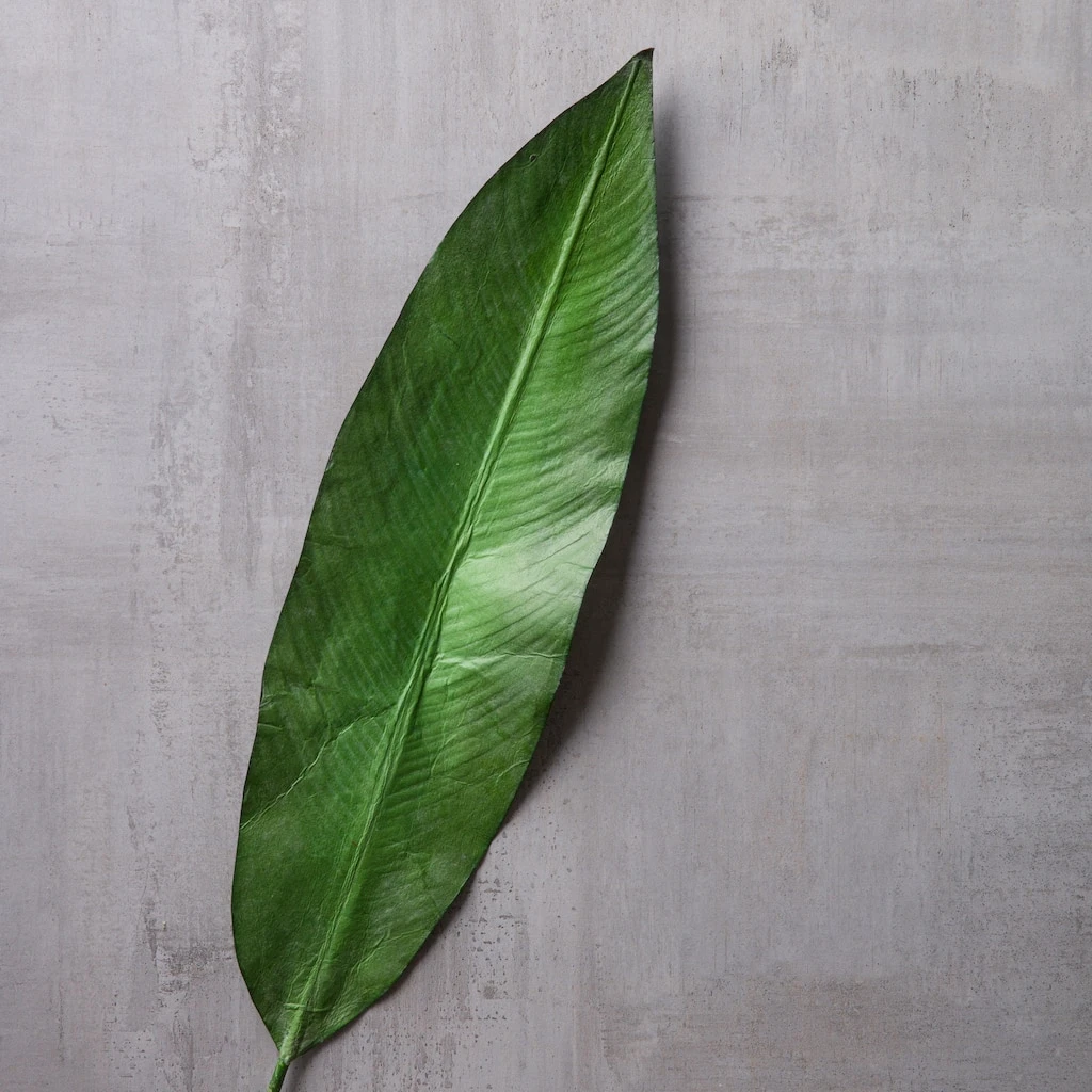 New β Tropical Bird Of Paradise Leaf Spray by Ashland® π 4 New β Tropical Bird Of Paradise Leaf Spray by Ashland® π - Image 2