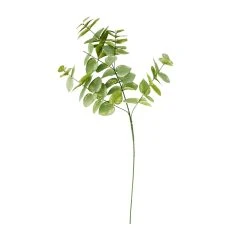 Hot Sale 👏 Eucalyptus Branch by Ashland® ⌛ -Ashlandty Shop 10067587 30