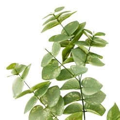 Hot Sale 👏 Eucalyptus Branch by Ashland® ⌛