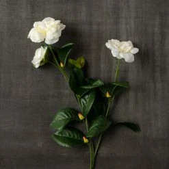 Buy 😉 Gardenia Spray by Ashland® ✔️ -Ashlandty Shop 10107972 25