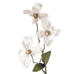 Buy β Pearl π€© Dogwood Spray by Ashland® π 7 Buy β Pearl π€© Dogwood Spray by Ashland® π -Ashlandty Shop 10110877 20