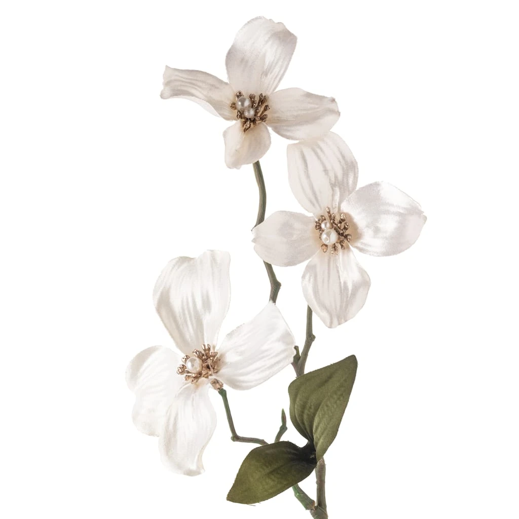 Buy β Pearl π€© Dogwood Spray by Ashland® π 5 Buy β Pearl π€© Dogwood Spray by Ashland® π - Image 3