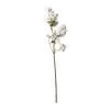 Buy β Pearl π€© Dogwood Spray by Ashland® π 2 Buy β Pearl π€© Dogwood Spray by Ashland® π -Ashlandty Shop 10110877 21