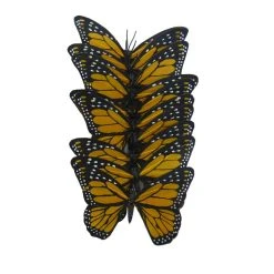 Best reviews of 🛒 8 Packs: 8 ct. (64 total) Assorted 8.6" Monarch Butterfly Pack by Ashland® 🥰 -Ashlandty Shop 10128655 2