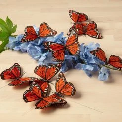Hot Sale 🛒 Assorted 8.6" Monarch Butterfly Pack by Ashland® 👍 -Ashlandty Shop 10128655 22