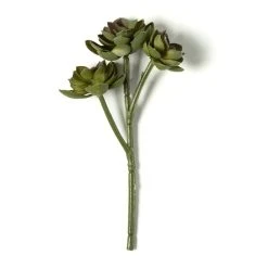 Hot Sale ⭐ Ashland® Succulent Pick ⌛ 9 Hot Sale ⭐ Ashland® Succulent Pick ⌛ -Ashlandty Shop 10128870 21