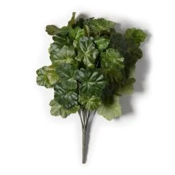 Outlet ❤️ Coral Bell Bush by Ashland® 🔥