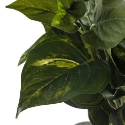 Best reviews of 👍 Pothos Bush Real Touch™ Collection by Ashland 🧨 -Ashlandty Shop 10131108 20
