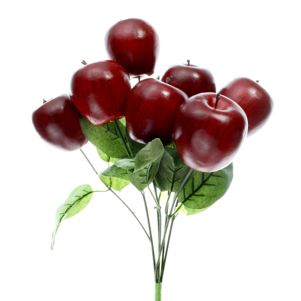 Outlet ✔️ 8 Pack: Red Apple Bush by Ashland® ⌛ 3 Outlet ✔️ 8 Pack: Red Apple Bush by Ashland® ⌛