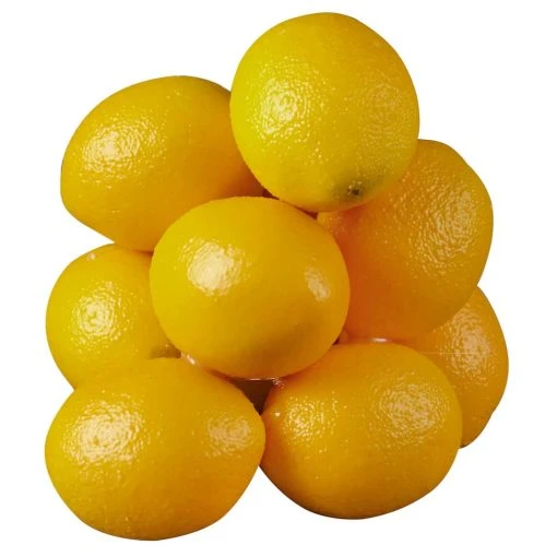 Discount 😀 12 Packs: 10 ct. (120 total) Lemons by Ashland® 😍 -Ashlandty Shop 10131588