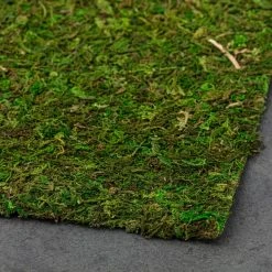 Coupon ✨ Moss Mat by Ashland® ❤️ -Ashlandty Shop 10135027 21