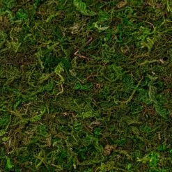 Coupon ✨ Moss Mat by Ashland® ❤️ -Ashlandty Shop 10135027 22