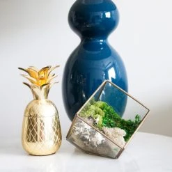 Discount 🔥 Moss Variety Pack by Ashland® 🎁 -Ashlandty Shop 10135036 2