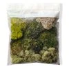 Discount 🔥 Moss Variety Pack by Ashland® 🎁 -Ashlandty Shop 10135036 20