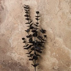 Top 10 🥰 Black Eucalyptus Spray Floral Essentials by Ashland® ✨ -Ashlandty Shop 10158724 22