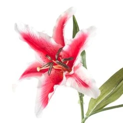 Budget ✔️ Rubrum Lily Spray by Ashland® 🌟 -Ashlandty Shop 10161138 20