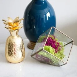 New 😀 Red Moss Variety Pack by Ashland® 😉 -Ashlandty Shop 10169285 3