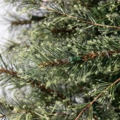 Best reviews of ✨ 7.5ft. Pre-Lit Quick Set™ Jasper Artificial 👍 Christmas Tree, Clear Lights by Ashland® ❤️ -Ashlandty Shop 10191054 13