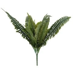 Wholesale 🌟 Boston Fern Bush Fern Collection by Ashland® ✨