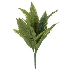 Promo 🧨 Boston Fern Bush Fern Collection by Ashland® ❤️