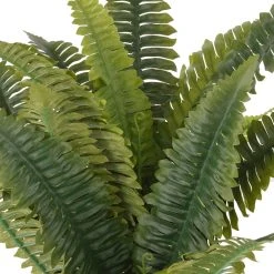 Promo 🧨 Boston Fern Bush Fern Collection by Ashland® ❤️ -Ashlandty Shop 10194924 2