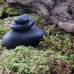 Top 10 😍 Preserved Forest Moss by Ashland® ✔️ -Ashlandty Shop 10204602 3