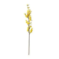 Best Pirce ❤️ Forsythia Branch Floral Essentials by Ashland® ⌛