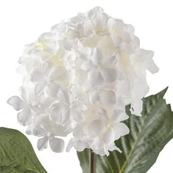 Coupon 🤩 Hydrangea Spray by Ashland® 🤩 7 Coupon 🤩 Hydrangea Spray by Ashland® 🤩 -Ashlandty Shop 10213406 20