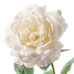 Cheap 🎁 White Sophia Rose Stem by Ashland® 😍 -Ashlandty Shop 10213470 20