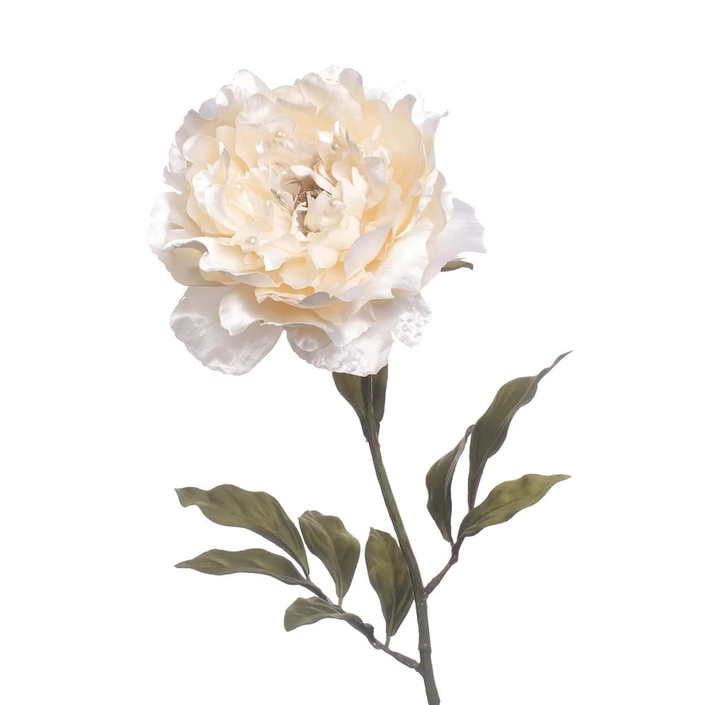 Top 10 ✨ Cream Peony Stem with Pearl by Ashland® ✔️ 4 Top 10 ✨ Cream Peony Stem with Pearl by Ashland® ✔️ - Image 2
