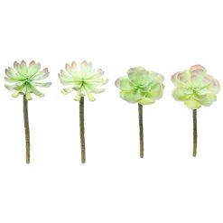 Budget ⌛ 12 Pack: Assorted Red Tipped Succulent Pick by Ashland® 🔥