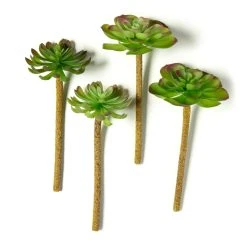 Best deal 😀 Assorted Red Tipped Succulent Pick by Ashland® 🌟
