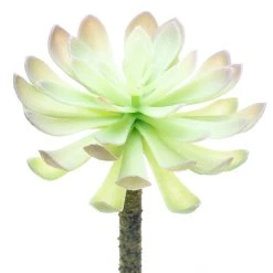 Budget ⌛ 12 Pack: Assorted Red Tipped Succulent Pick by Ashland® 🔥 -Ashlandty Shop 10229986 3