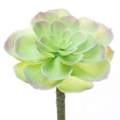 Budget ⌛ 12 Pack: Assorted Red Tipped Succulent Pick by Ashland® 🔥 -Ashlandty Shop 10229986 4