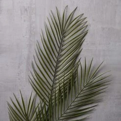 Coupon 🔔 Tropical Areca Palm Stem by Ashland® ⭐ -Ashlandty Shop 10230900 22