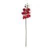 Promo ⭐ Red Tropical Orchid Stem by Ashland® 🌟 -Ashlandty Shop 10230911 21